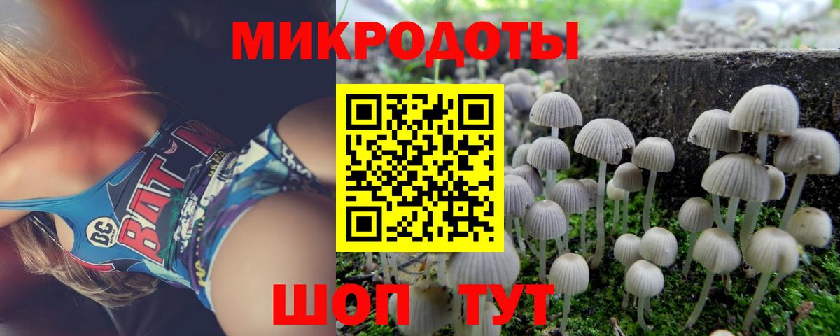 Галлюциногенные грибы прущие грибы  Вход с VPN  Добрянка 